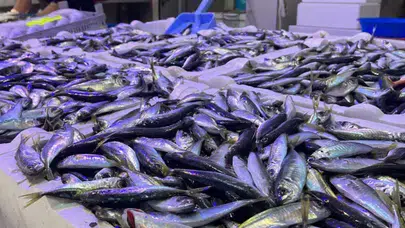 İstanbul’da Sofraların Yeni Gözdesi: İstavrit Hamsiyi Solladı