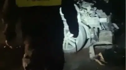 Kayseri-Niğde Yolunda Feci Kaza: 3 At Öldü, Sürücü Yaralandı