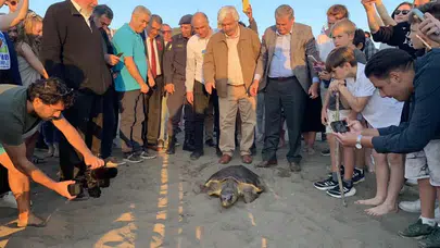 Muğla’da Tedavi Edilen Caretta Caretta ‘Cumhuriyet’ 16 Ayda 11 Bin Km Yol Aldı