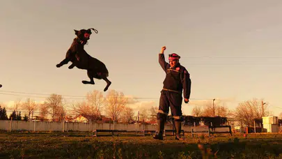 Afetlere Karşı Teyakkuzda: Sakarya İtfaiyesinin Eğitimli K9 Köpekleri Operasyonlar İçin Hazır Kıta