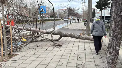 Edirne ve Kırklareli’nde Fırtına Alarmı: 70 km/saate Varan Rüzgara Dikkat!