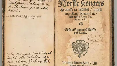 Sadece Gol Makinesi Değil: Haaland’ın Bu Hareketi Herkesi Etkiledi