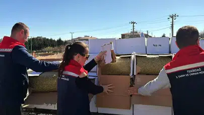 Piyasaya Sürülmeden Yakalandı: 2 Ton Fıstıkta Kanser Riski Taşıyan Madde Çıktı
