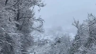Bolu Gerede Beyaza Büründü: Kar Yağışı Ulaşımı Etkilemedi