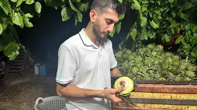 Dedesinden Öğrendi, Şimdi Rekor Kırıyor! Bursa'daki Genç Ustanın Hikayesi