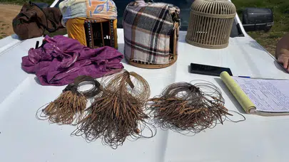 Kaçak Avcıların Planı Bozuldu! Koruma Altındaki Hayvanlar Son Anda Kurtarıldı