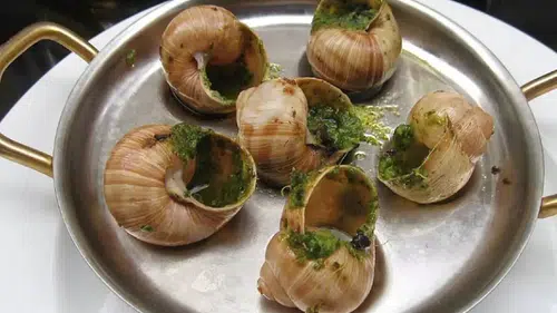 Salyangoz Hırsızlığıyla Şok! Fransa’da 4 Milyonluk Vurgun Gıda Dünyasını Sarstı