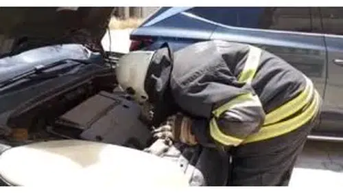Diyarbakır’da Araç Motoruna Sıkışan 3 Yavru Kedi Kurtarıldı