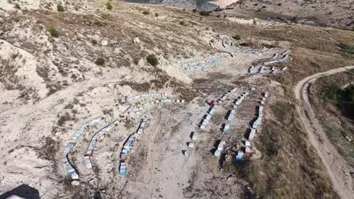 22 Yaşında Kendi İşinin Patronu Oldu: Bin Kovanla Üretim Yapıyor