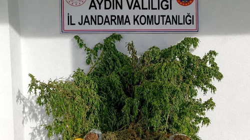 Aydın’da Uyuşturucu Baskını! Evden 3 Kilo Esrar Çıktı