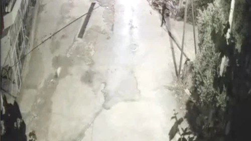 Önce motosikletle kovaladılar sonra köpeği çaldılar