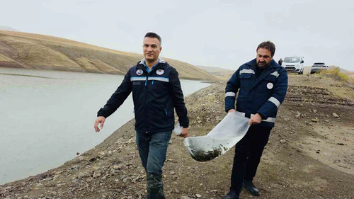 Van’daki 8 Gölete 700 Bin Yavru Sazan Bırakıldı