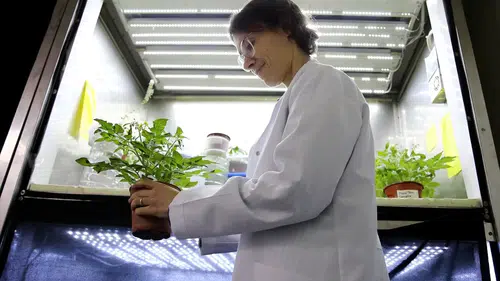 Mikro Yerçekiminde Bitki Yetiştirme: Türkiye’nin İlk Uzay Biyolojisi Deneyi”