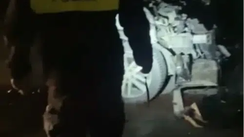 Kayseri-Niğde Yolunda Feci Kaza: 3 At Öldü, Sürücü Yaralandı