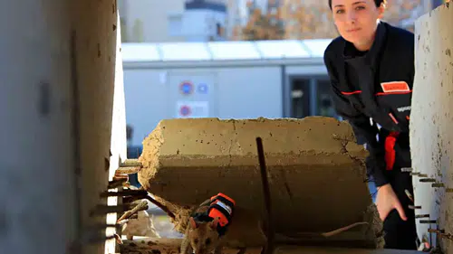 Antalya’da Eğitilen Afrika Keseli Sıçanlar Enkaz Altındaki "Göz" Olacak