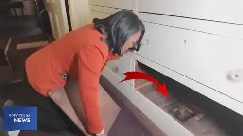 "Şifonyerin Altındaki Gizli Geçit, 100 Yıllık Yeraltı Demiryolu’nun İlk Girişi Oldu"