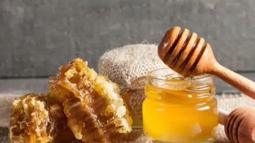 Ordu’da 15 Ton Sahte Bal Yakalandı: Perşembe’de Büyük Operasyon