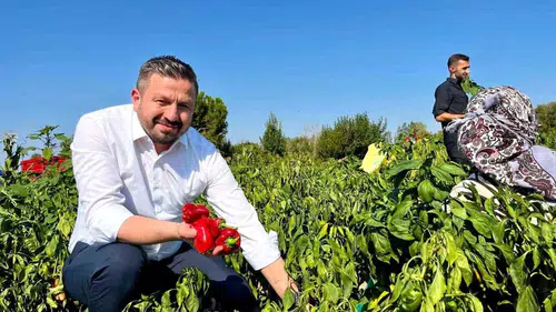 Balıkesirli Çiftçilere 867 Milyon TL’lik Dev Tarım Desteği Müjdesi