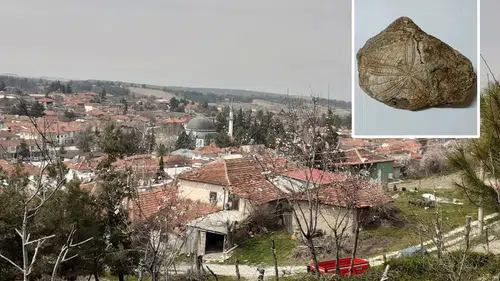 Dağların Zirvesinde Deniz İzi! Denizli’de Milyonlarca Yıllık Fosil Şaşırttı