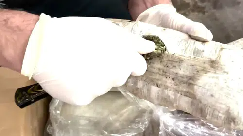 Türkiye Genelinde Uyuşturucuya Büyük Darbe: Tonlarca Madde Ele Geçirildi