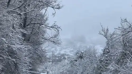 Bolu Gerede Beyaza Büründü: Kar Yağışı Ulaşımı Etkilemedi