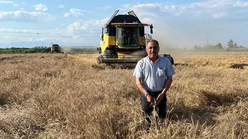 Çiftçi Kara Kara Düşünüyor: Buğdayda Kritik Süreç Başladı