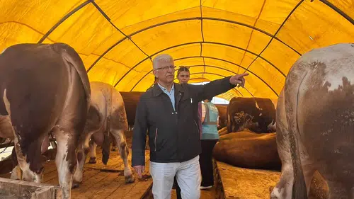 Kurbanlık Alacaklara Kritik Uyarı! Uzmanlar Tek Tek Açıkladı