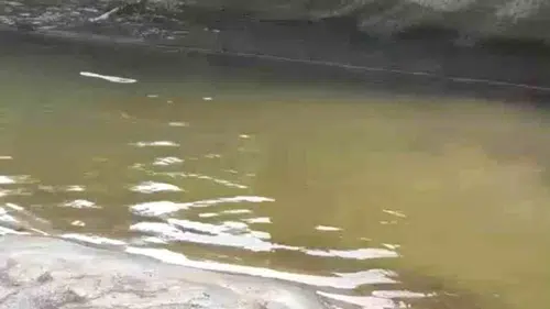 Rize'de Felaketin Bilançosu Ağırlaşıyor! Alabalık Tesisi Sulara Teslim Oldu