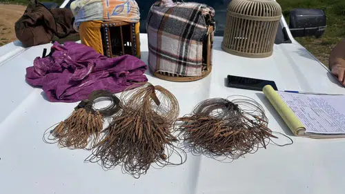 Kaçak Avcıların Planı Bozuldu! Koruma Altındaki Hayvanlar Son Anda Kurtarıldı