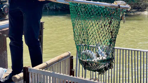 Karataş’ta Balıkçılık Sezonu Açıldı: Ağlar Bereket İçin Suya Bırakıldı