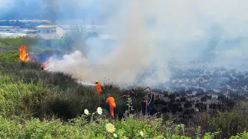 Antalya’da Orman Yangını Alarmı! Havadan ve Karadan Müdahale Başladı