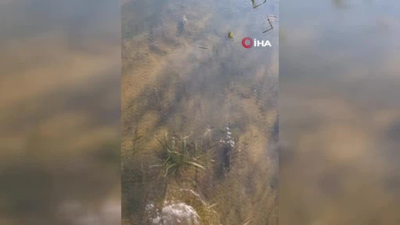 Emekleri Bir Anda Sular Altında Kaldı: Çiftçinin Yürek Burkan Görüntüleri