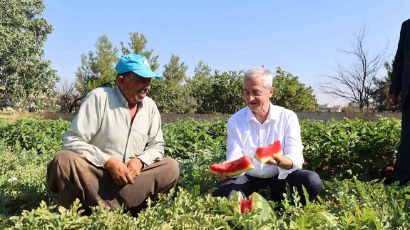 Şahinbey’de çiftçilere fide desteği hasatla bereketlendi
