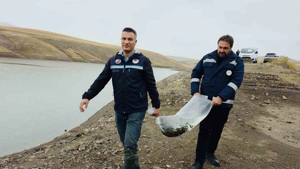 Van’daki 8 Gölete 700 Bin Yavru Sazan Bırakıldı
