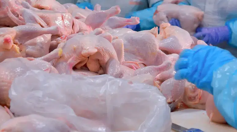 Barış Tavukçuluk konkordato mu ilan etti? Mahkeme ne karar verdi?