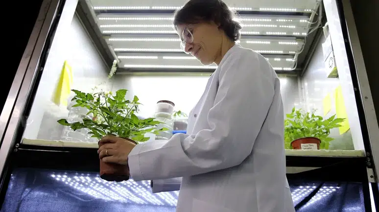 Mikro Yerçekiminde Bitki Yetiştirme: Türkiye’nin İlk Uzay Biyolojisi Deneyi”