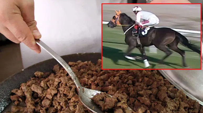 Kavurmadan Çıkan Dijital Çip Olayında Şok Detay: Yarış Atı Smart Latch