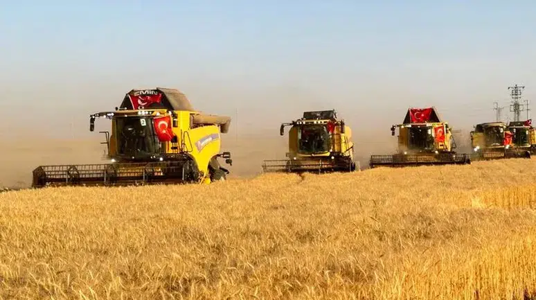 Türkiye'nin Dev Tarım Arazisinde Hasat Başladı! Rekolte Rekor Kırabilir