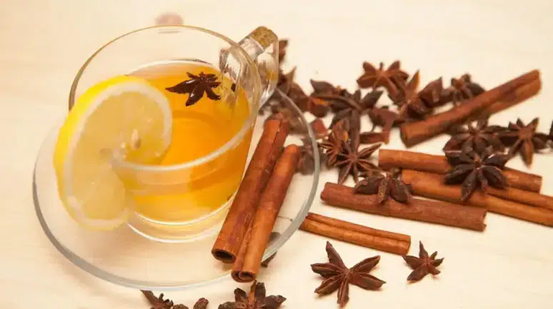 İbn-i Sina'ya atfediliyor! Tarçın ve limonlu aromalı su nasıl yapılır?