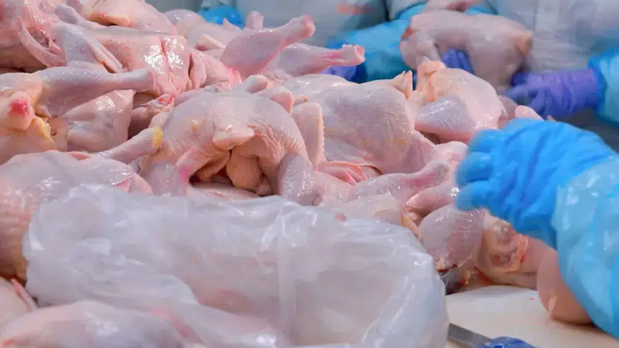 Barış Tavukçuluk konkordato mu ilan etti? Mahkeme ne karar verdi?