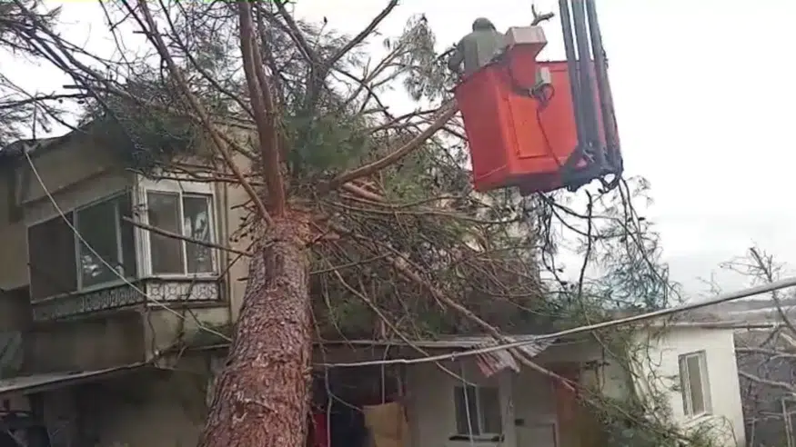Mersin’de Fırtına Alarmı: Ağaç Evin Üzerine Devrildi, Elektrik Direği Yola Düştü