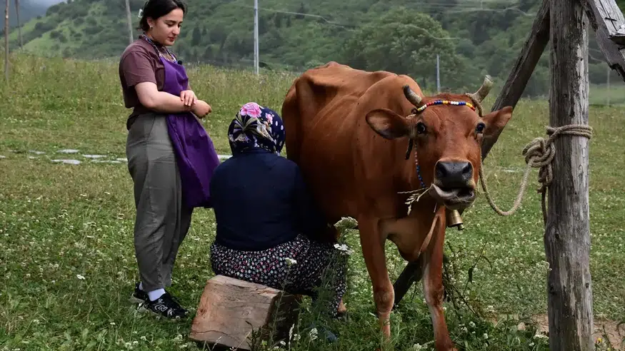 Trabzon’un 100 Yıllık Sırrı: Coğrafi İşaretli Hamsiköy Sütlacı