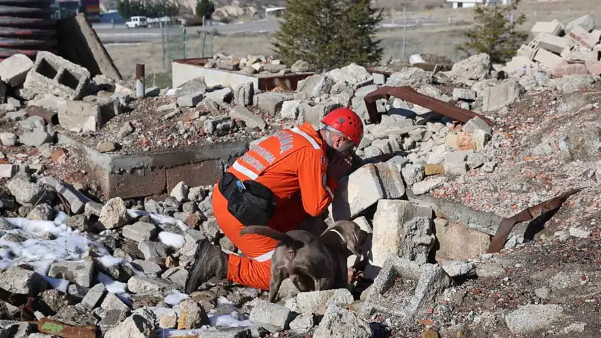 JAKEM’de Deprem Sonrası Umut Arayan Patiler: Fokus Arama Kurtarma Eğitiminde Göreve Hazırlanıyor