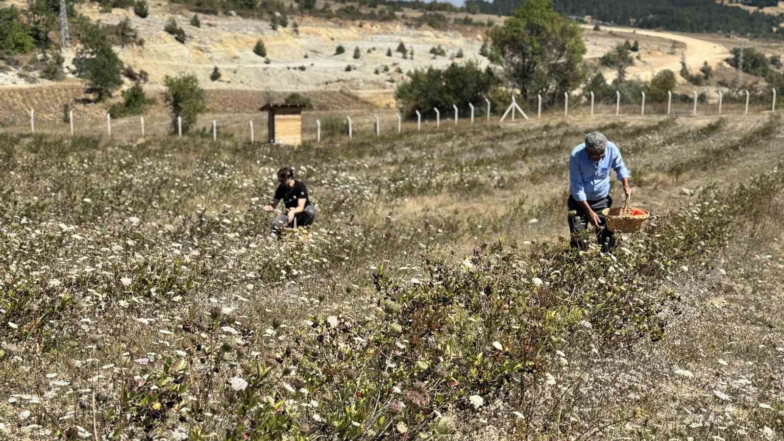 4-yil-once-dikti-simdi-kendi-markasiyla-satmayi-hedefliyor