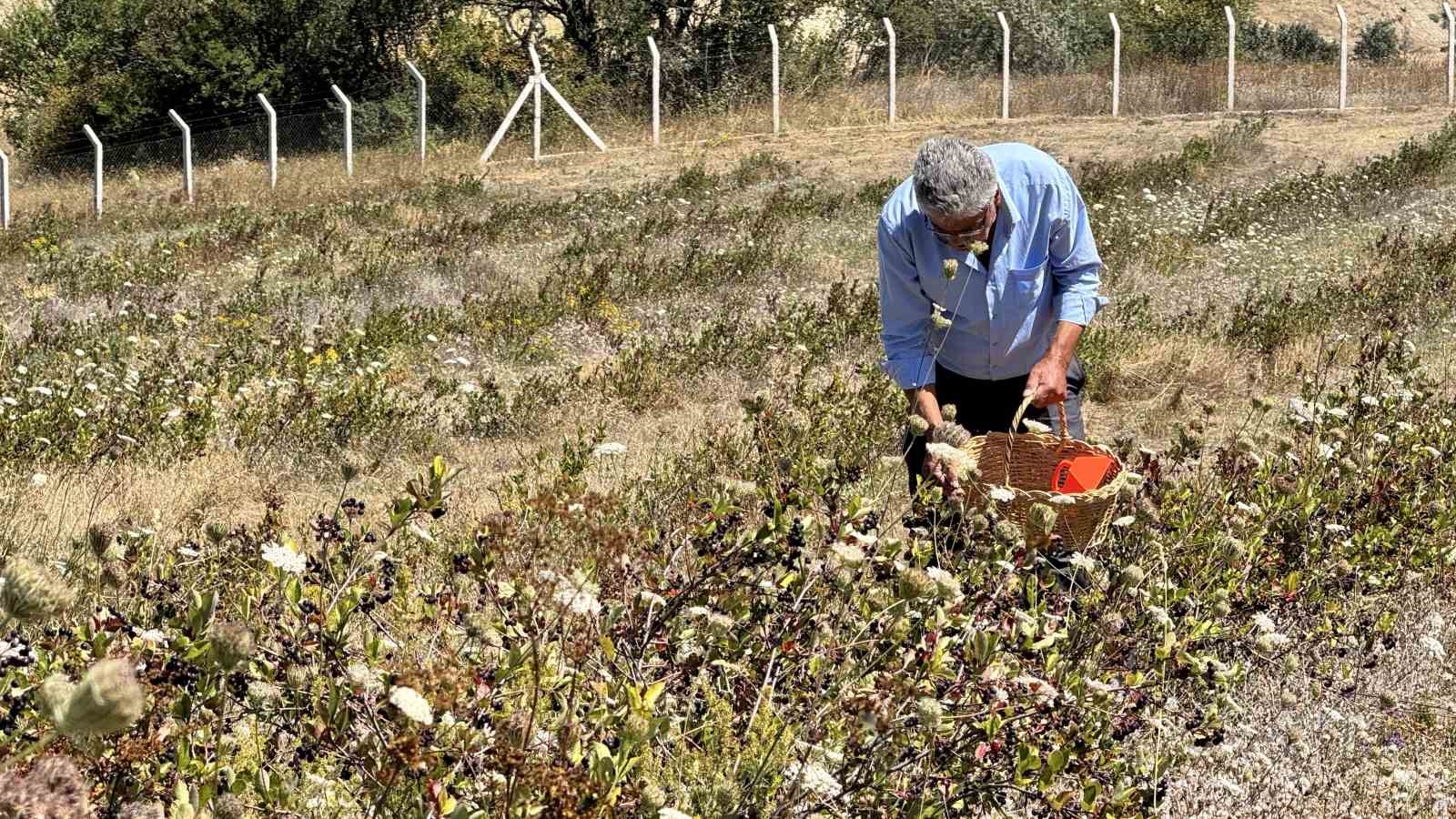 4-yil-once-dikti-simdi-kendi-markasiyla-satmayi-hedefliyor